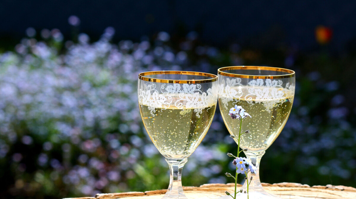 Francuska tura - pjenušac, SERVICE-REISEN fotografija