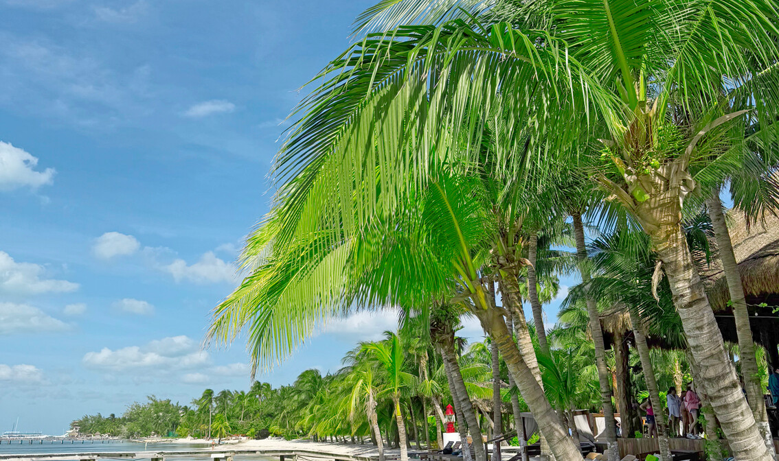 Meksiko - Isla Mujeres, s putovanja Mondo travel