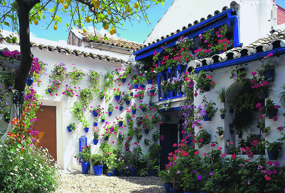 Córdoba- Patio (Festival de los Patios Cordobeses) ©Španjolska turistička zajednica-Turespaña