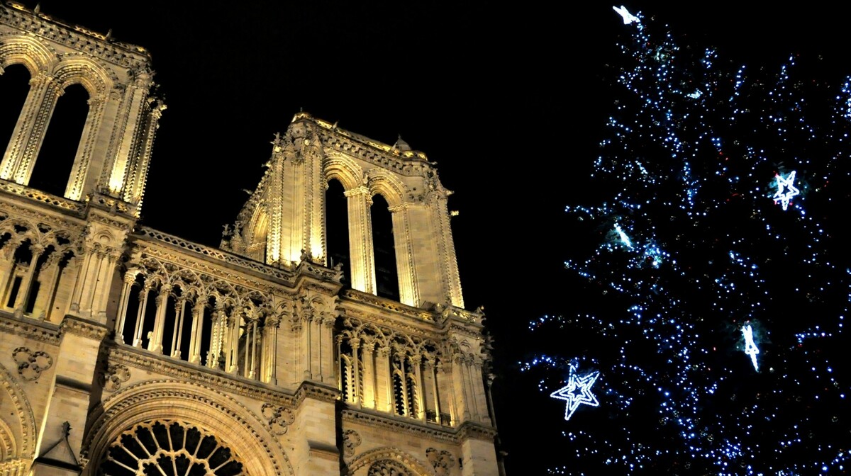 Okićeni bor ispred crkve Notre Dame, putovanje u Pariz