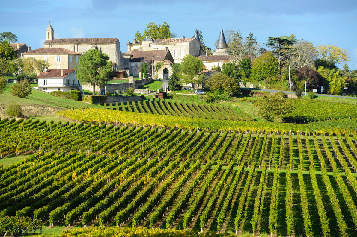 Bordeaux -Vinogradi Saint Emilion