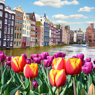 Tulipani i pročelja starih zgrada uz kanal, putovanje u Amsterdam