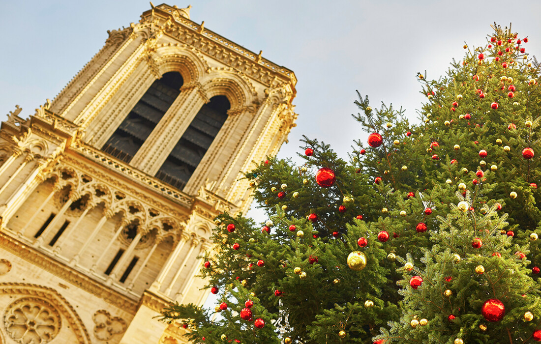 Okićeni bor ispred crkve Notre Dame u Parizu, advent u Parizu