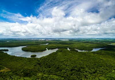 Amazonija
