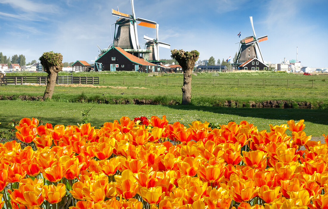 Vjetrenjače i polja tulipana, putovanje u Amsterdam i Mala nizozemska tura