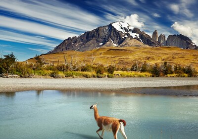 Chile - Torres del Paine National Park
