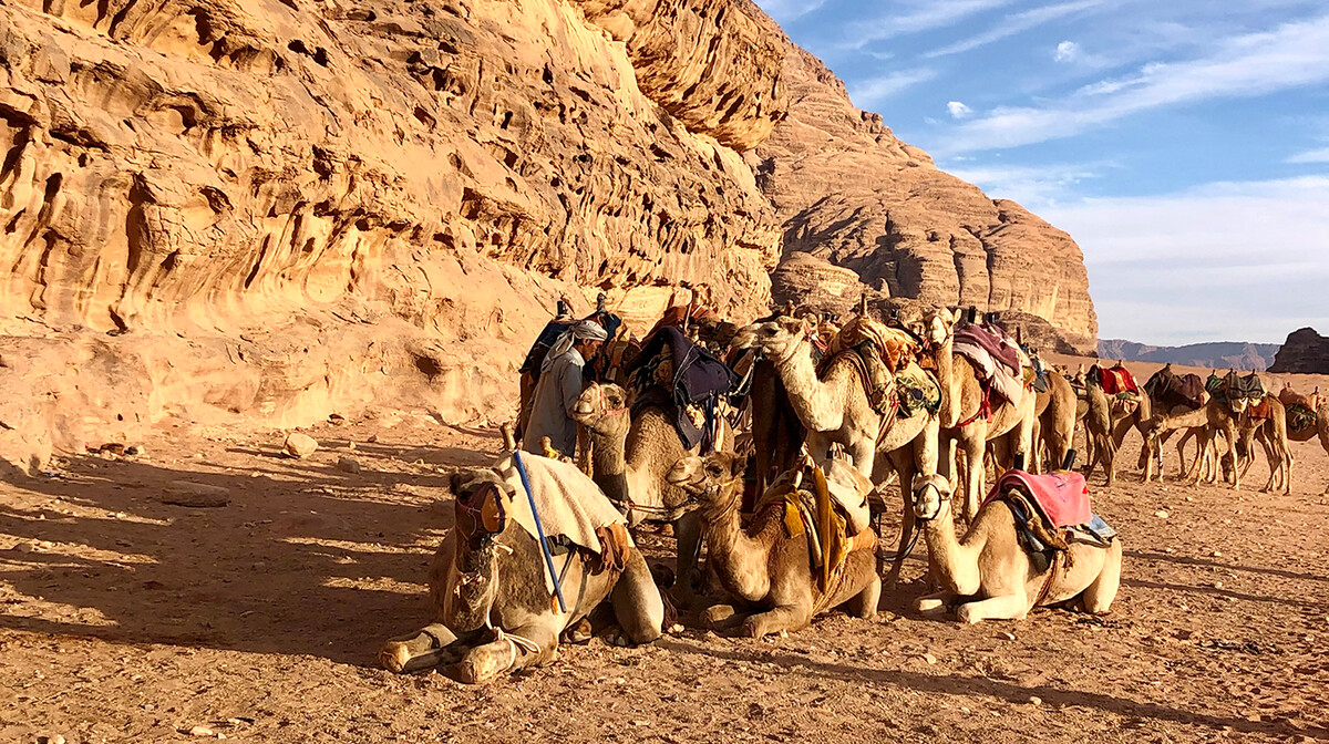 Jahanje deva u pustinji, putovanje u Jordan, daleka putovanja, garantirani polasci