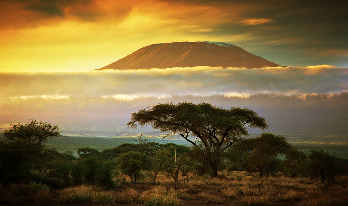 Kenija, planina Kilimanjaro, Savanna u Amboseliju