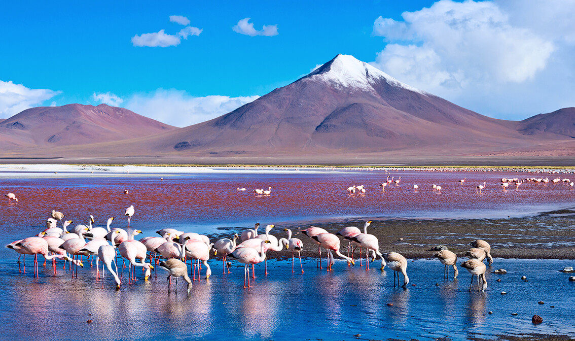 Bolivija, mondo travel, garantirani polasci