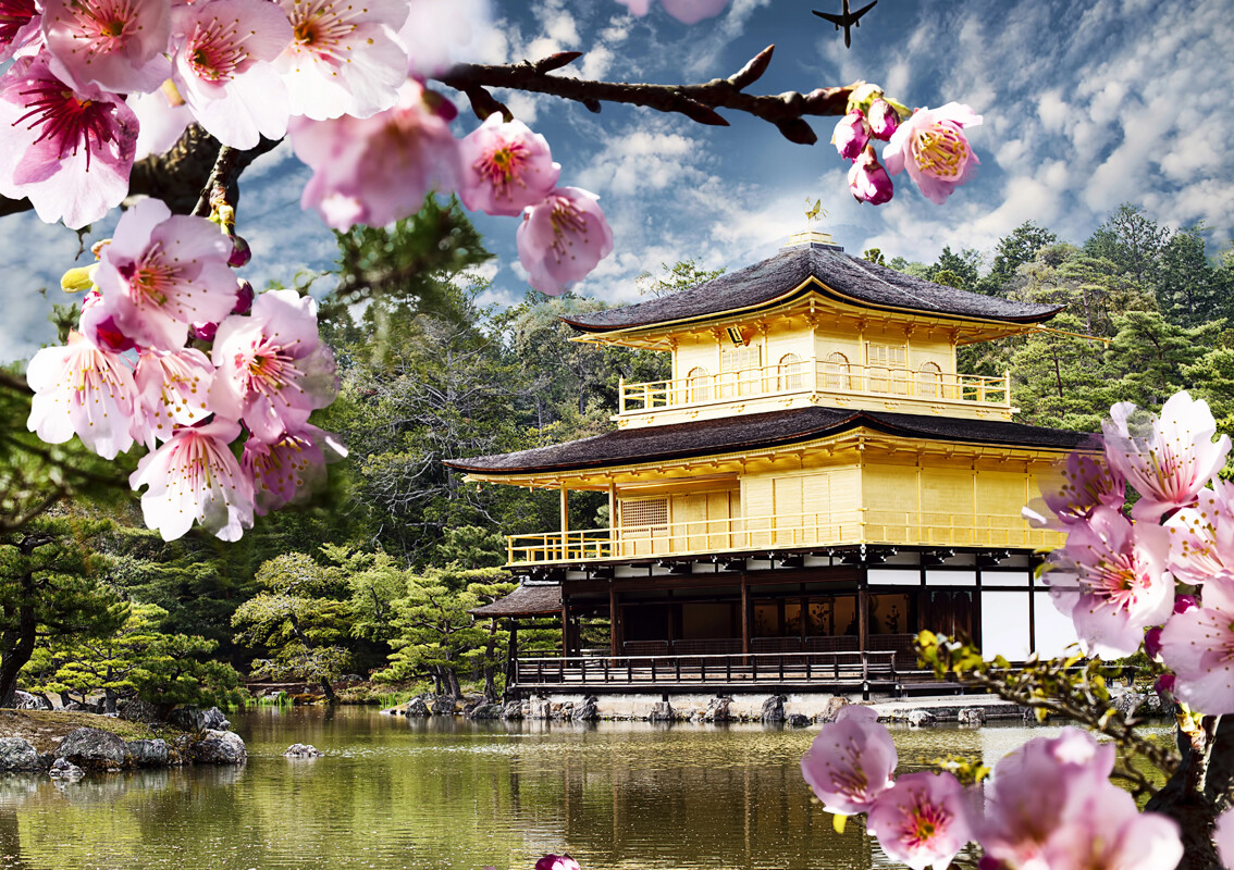 Japan, KYOTO - Golden Pavilion Temple