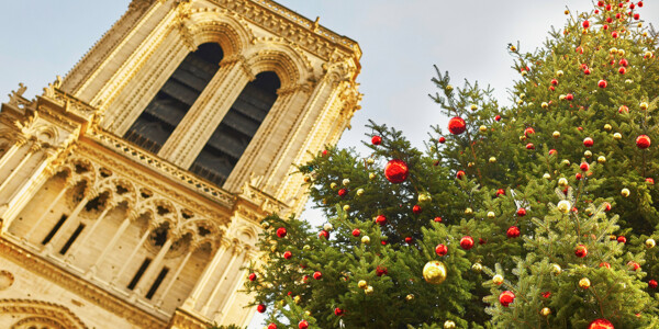 Okićeni bor ispred crkve Notre Dame  u Parizu, advent u Parizu
