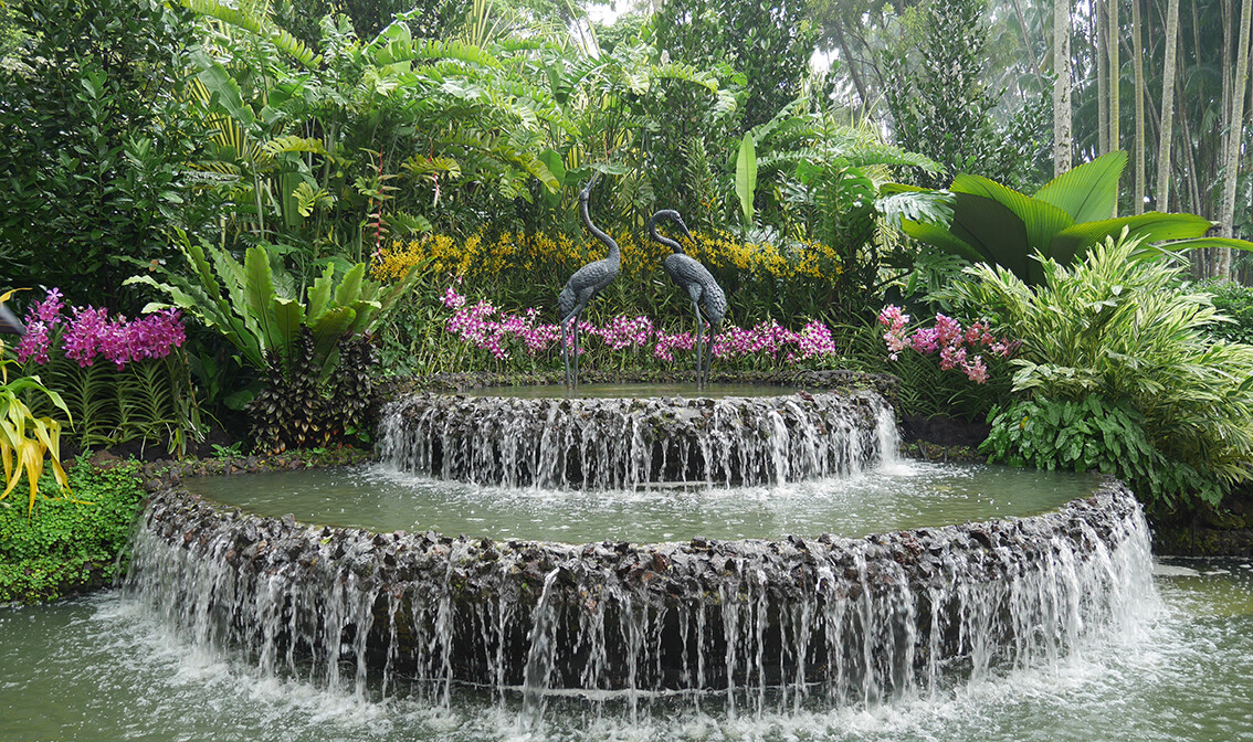 Fontana u singapurskom botaničkom vrtu, putovanje Singapur, daleka putovanja