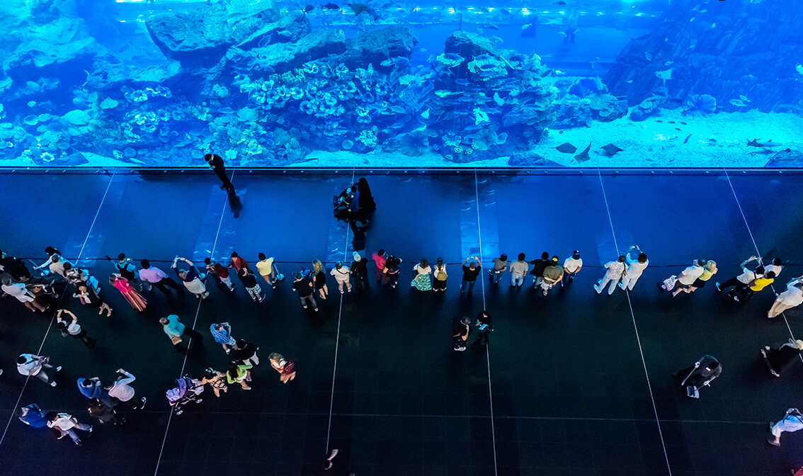 Dubai,  najveći akvarij na svijetu, garantirani polasci, daleko putovanje zrakoplovom