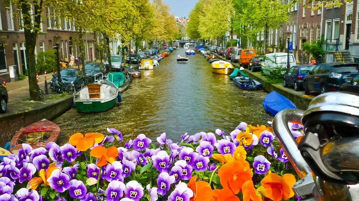 Amsterdamski kanal i cvijeće, putovanje Proljeće u Amsterdamu mondo travel