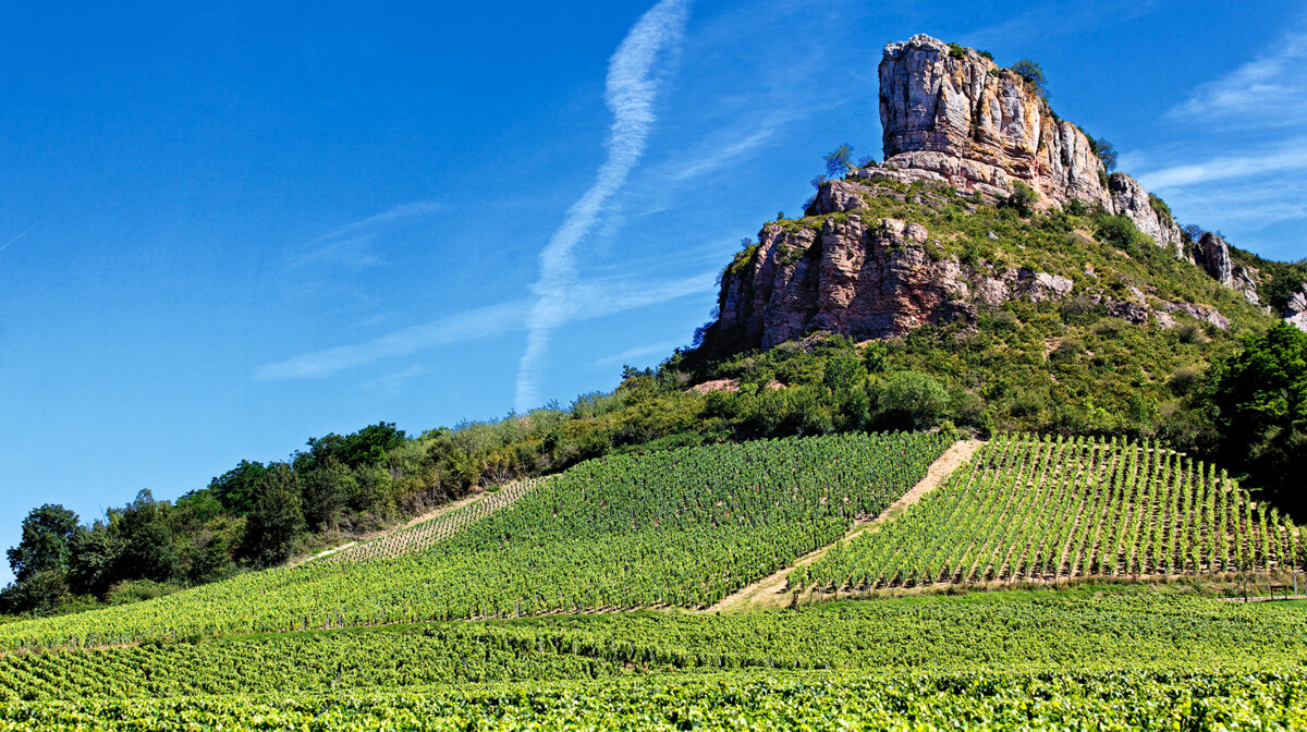 Francuska, vinogradi Burgundije