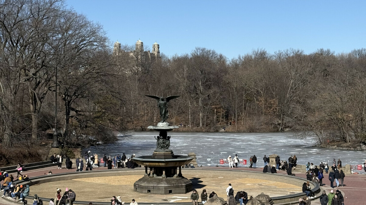 Central Park, New York