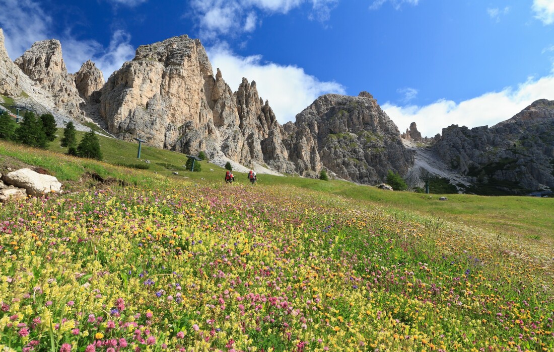 Dolomiti