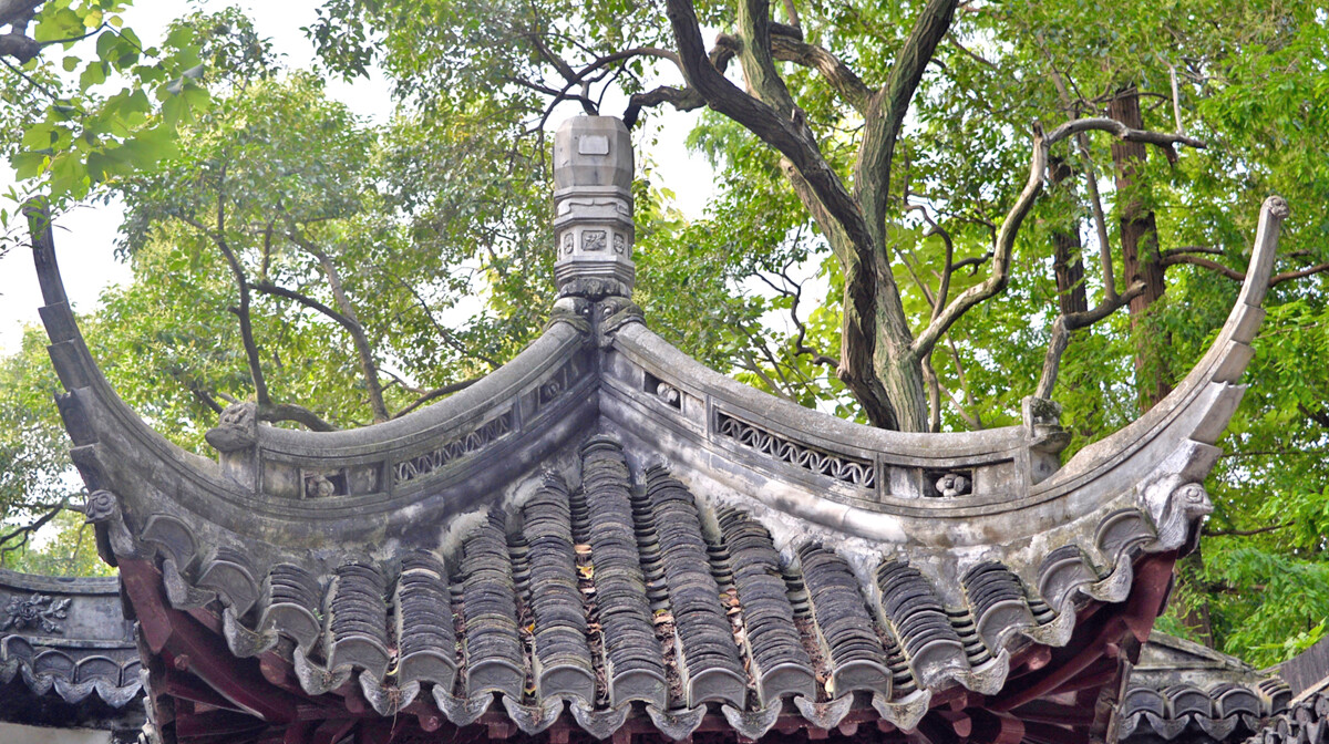 Kina - YU VRT Antonija Putić