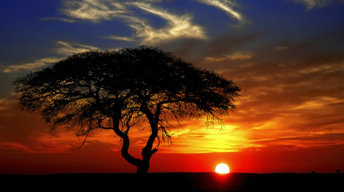 Afrički zalazak sunca
