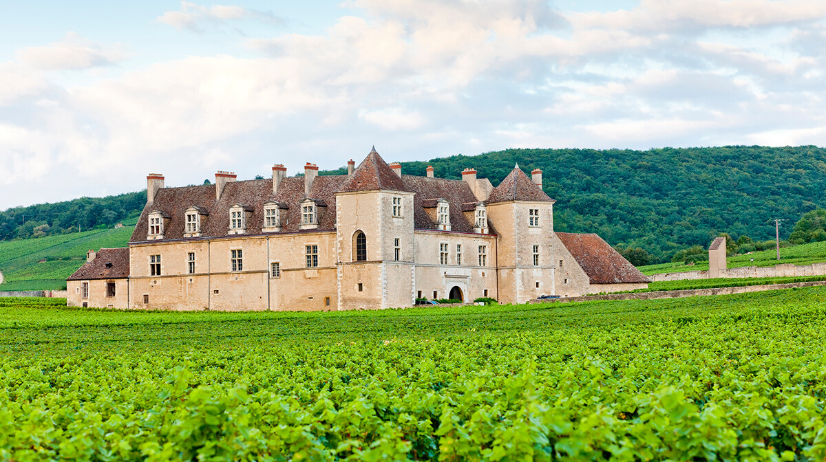 Dvorac Clos Blanc De Vouget, putovanje u Burgudniju, Francuska tura, mondotravel.hr