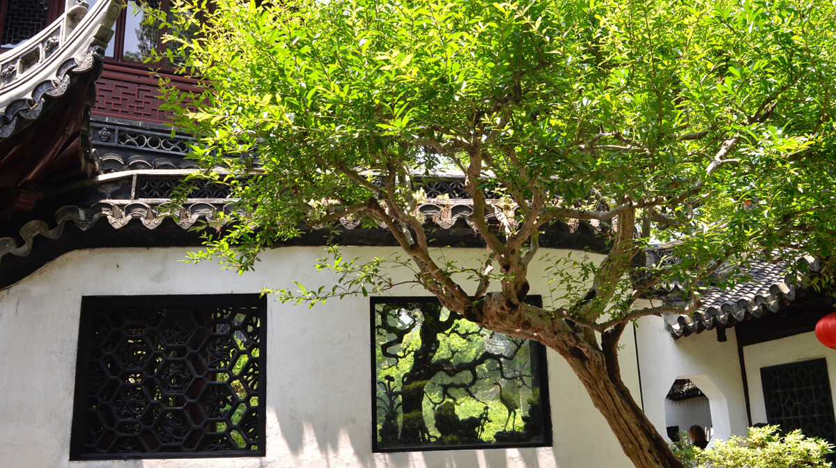 Kina - YU VRT Antonija Putić