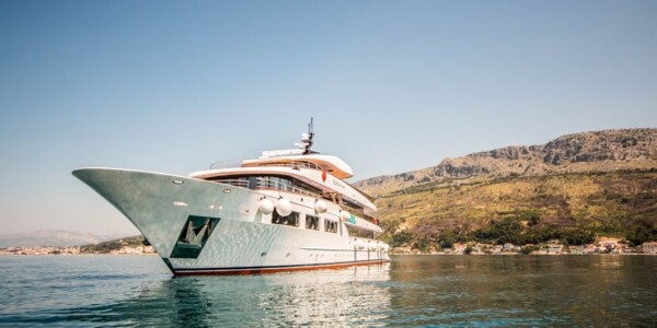 black swan brod - Katarine line