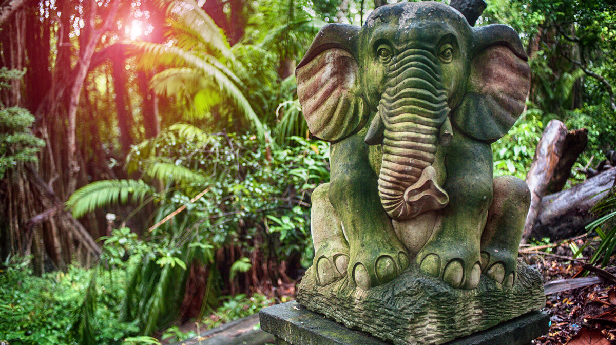 Bali - Monkey Forest Bali