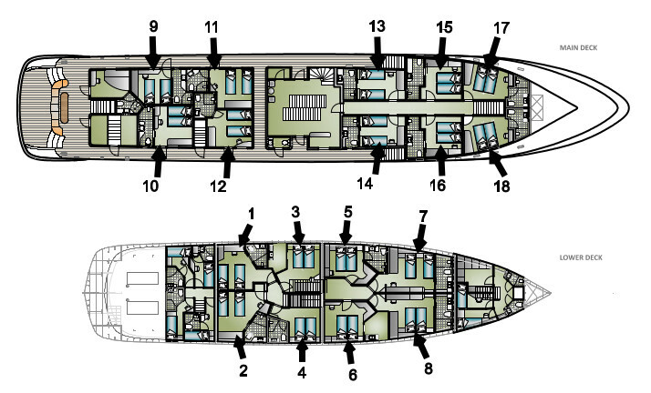 Brod Lastavica, raspored kabina