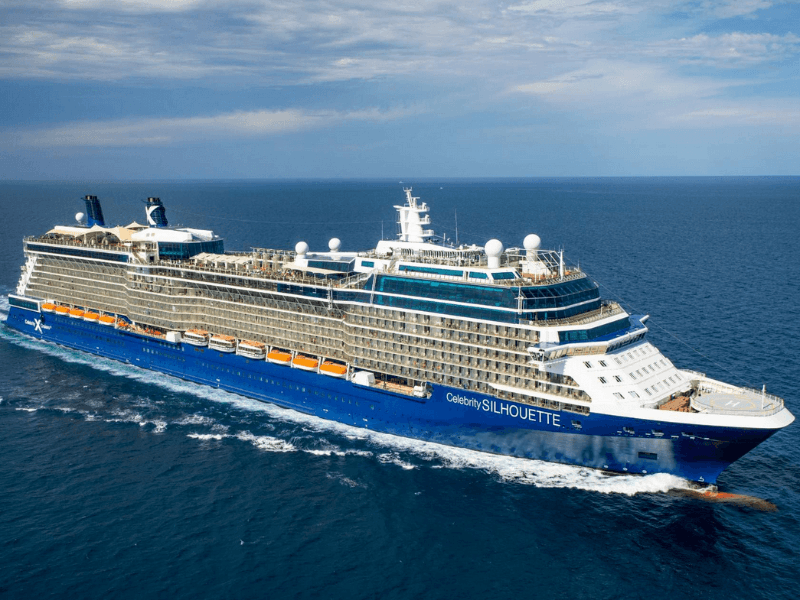 Celebrity Silhouette