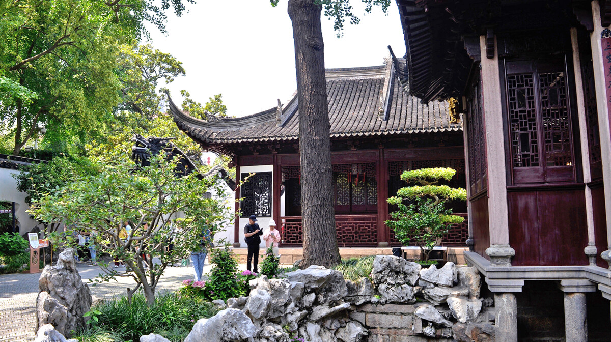 Kina - YU VRT Antonija Putić