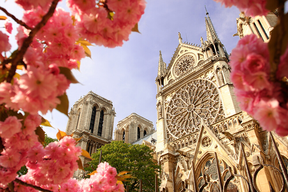 Paris - Notre Dame