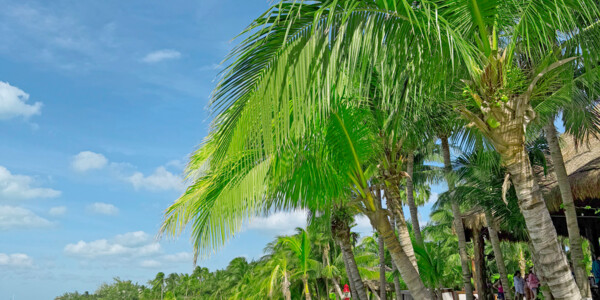 Meksiko - Isla Mujeres, s putovanja Mondo travel