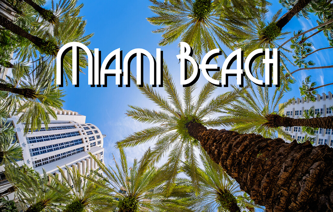 Palme na Miami beach, putovanje Florida, daleka putovanja, garantirani polasci