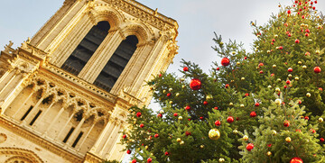 Okićeni bor ispred crkve Notre Dame  u Parizu, advent u Parizu