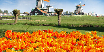 Vjetrenjače i polja tulipana, putovanje u Amsterdam i Mala nizozemska tura