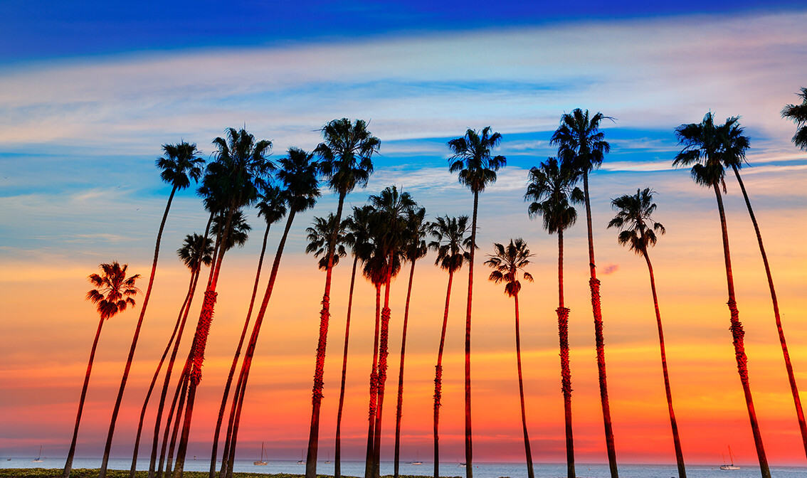 Palme i zalazak sunca, Santa Barbara, putovanje Kalifornija, zapad Amerike, daleka putovanja