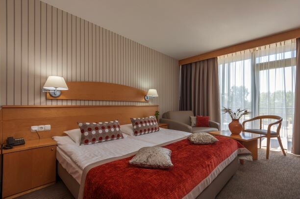 Moravske toplice, Hotel Termal, Standard soba